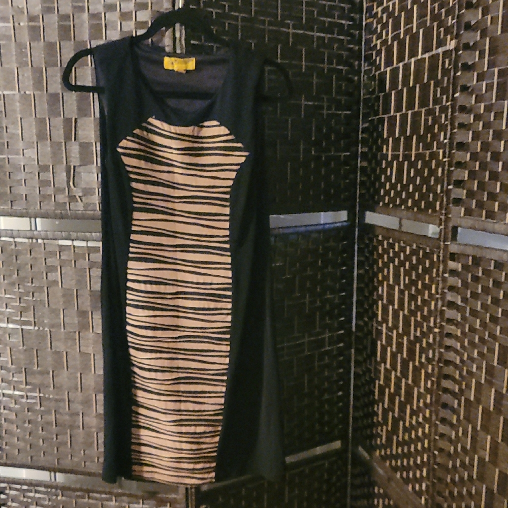 Stylish Black and Tan Striped Dress